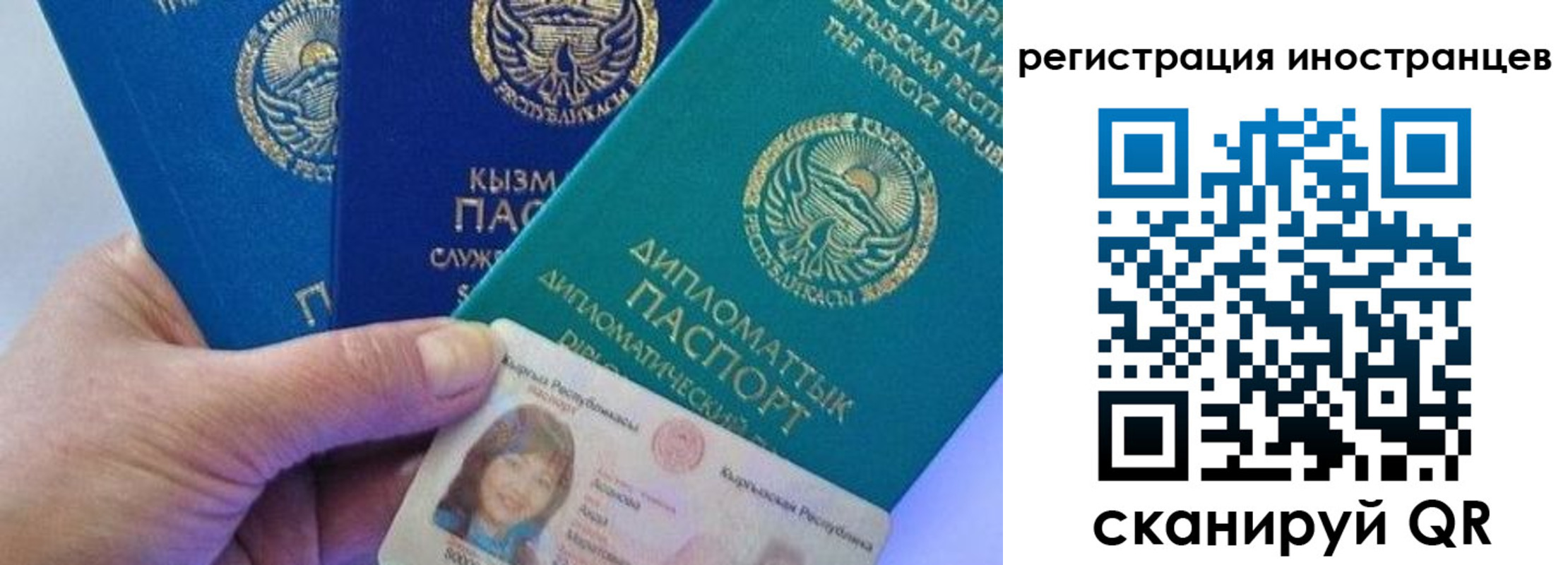 прописка в Чистополье